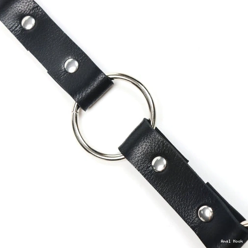 EverydayUse Hook Kinky Leash with Anal 5853 and Collar 1008